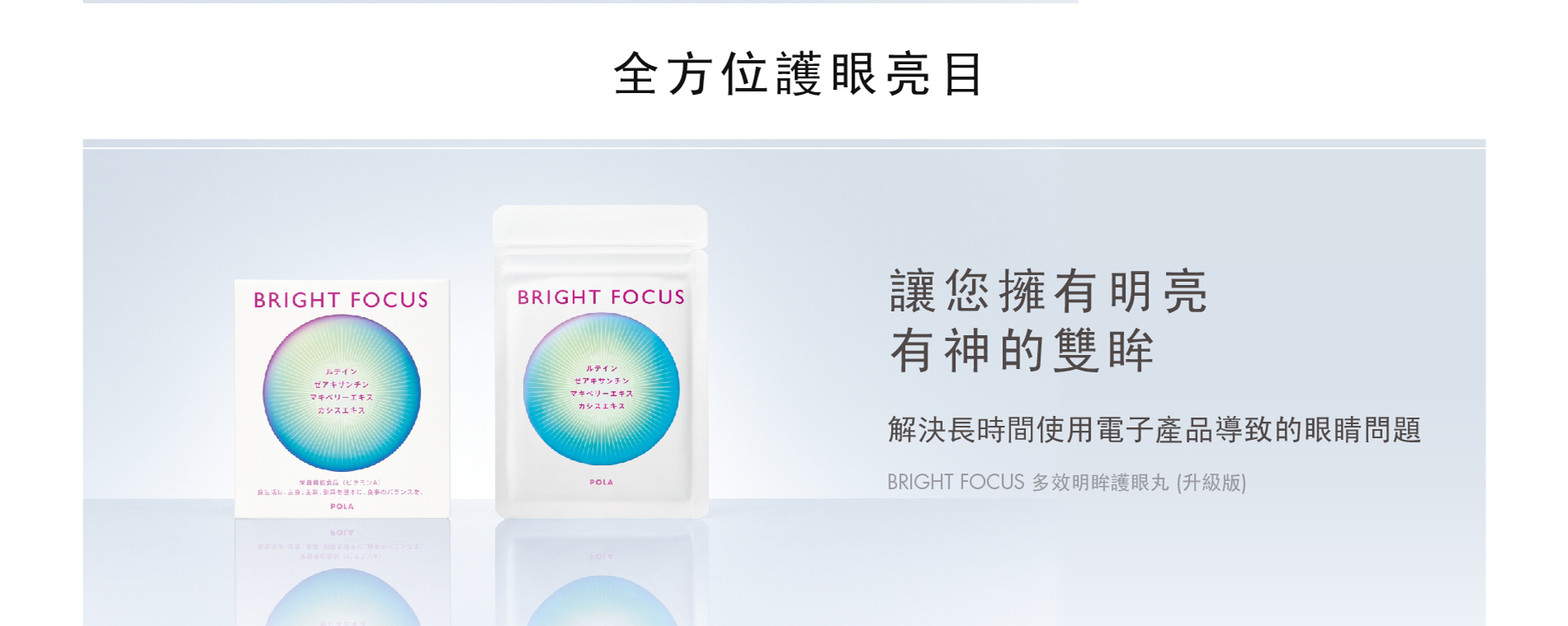 Bright Focus-cat-banner-pc